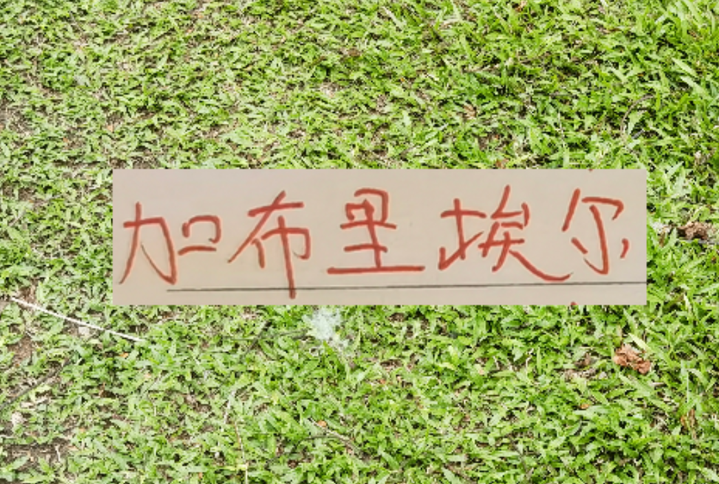 球速体育网址-拦不住申花降维打击！加布里不管咋样也是 低配版海港巴尔加斯